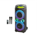 Колонка ZXX-9900 80Вт 2x10"