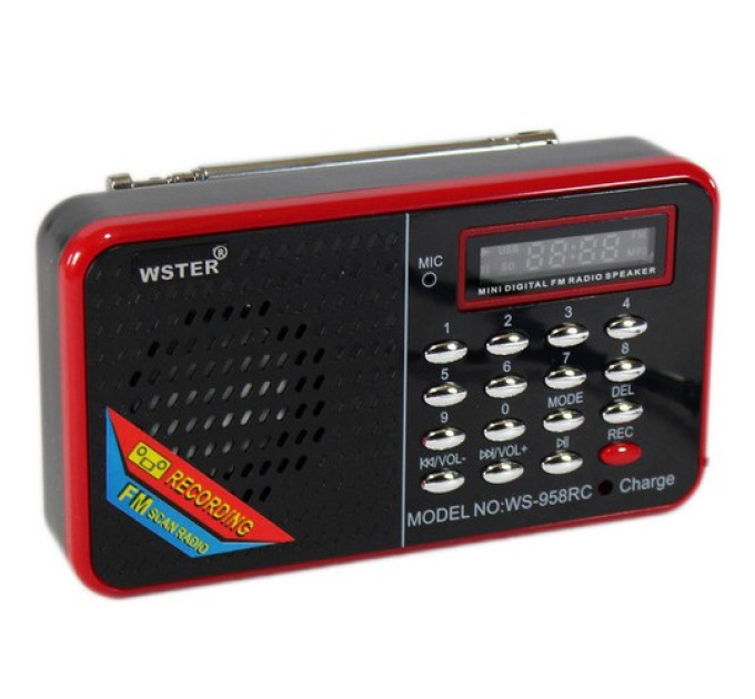 Колонка WSTER WS-958