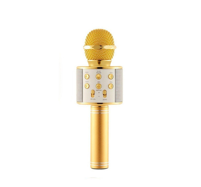 Мікрофон WS-858 WSTER GOLD