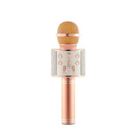 Мікрофон WS-858 WSTER ROSE GOLD