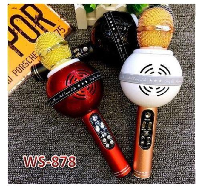 Мікрофон WS-878 WSTER BLACK