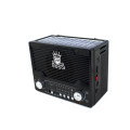 Радиоприемник NNS-1556S Solar (RS)