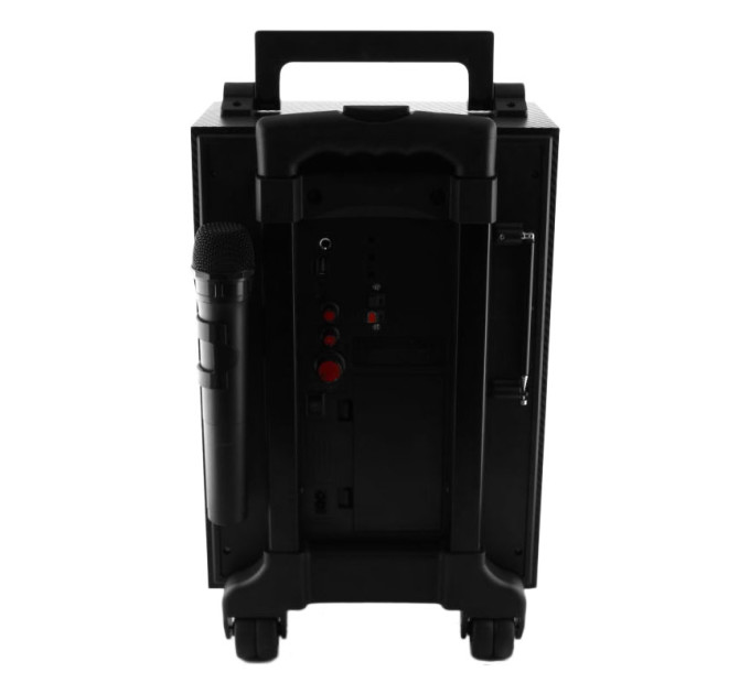 Акустическая система GOLON RX-2900