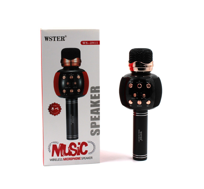 Мікрофон WSTER WS-2911 Black (Чорний)