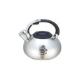 Чайник EDENBERG EB-3540 3.00 л