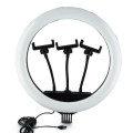 Кольцевая лампа 36 см SP-14 LED RING FILL LIGHT BlueBox (с 2 держ.)