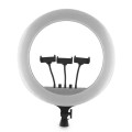 Кольцевая лампа 45 см RL-18 ll LED BlueBox (с 3 держ.)