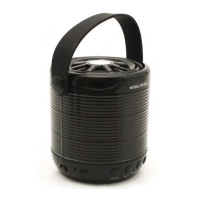 Колонка WSTER 883 BT