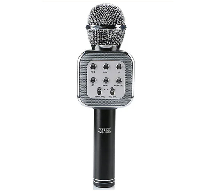 Микрофон DM Karaoke WS 1818