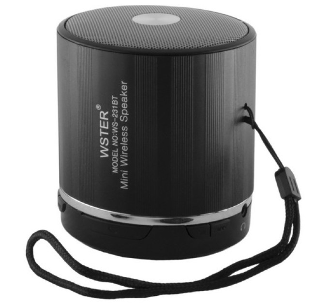 Колонка WSTER WS-231BT