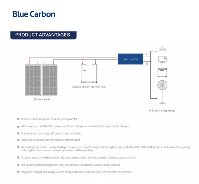 Акумуляторна батарея Blue Carbon LiFePo4 48V 100Ah 5.12kWh