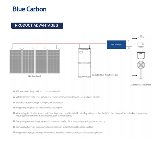 Аккумуляторная батарея  Blue Carbon  LiFePo4 48V 200Ah  10.24kWh