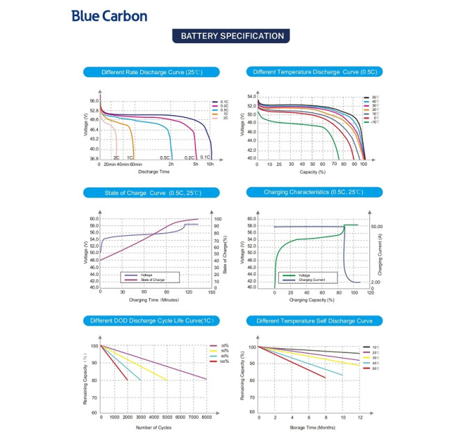 Аккумуляторная батарея  Blue Carbon  LiFePo4 48V 200Ah  10.24kWh