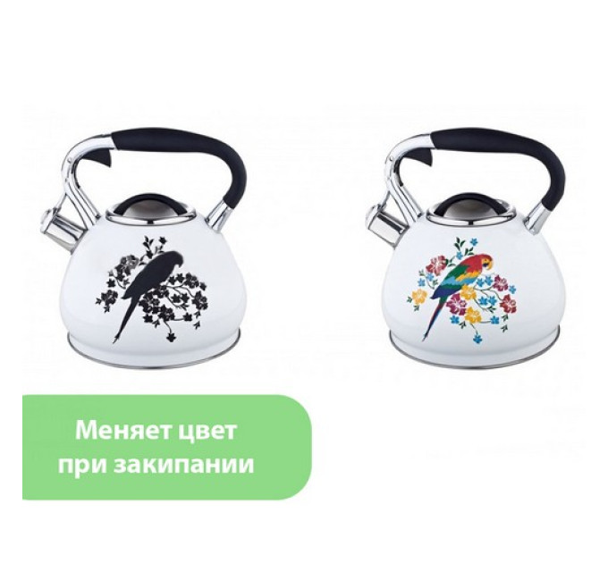Чайник EDENBERG EB-1945 3.00 л
